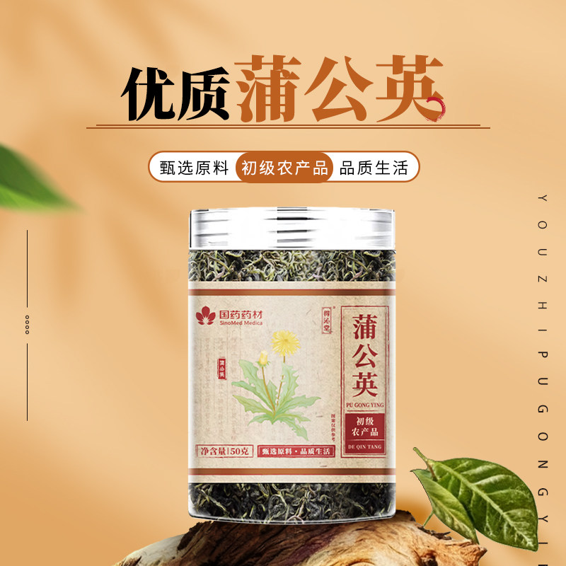 国药药材蒲公英叶叶片干净完整清香自然泡水清爽回甘熬夜上火口干