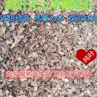 腐熟橡树叶,柞树叶,君子兰花土配合料腐叶土腐熟松针腐殖质种花土