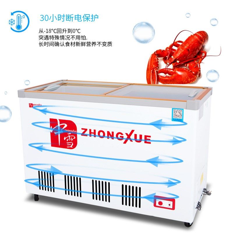 中雪卧式冰柜速冻商用冷柜单温冰箱冷藏直冷冷冻展示柜玻璃门双门