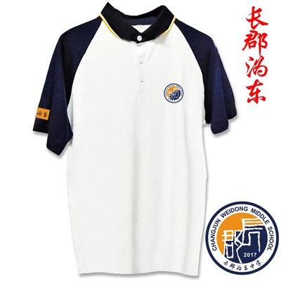 长郡中学校服夏季短袖翻领外国语滨江梅溪湖文化衫校服棉PoloT恤