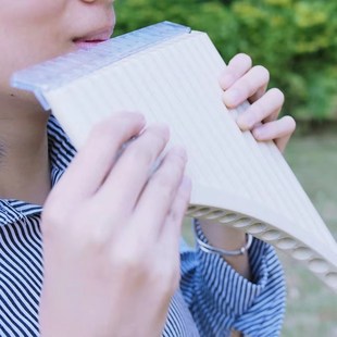 16管 18管 多功能排箫儿童成人易学乐器初学入门改良版排箫孔雀河