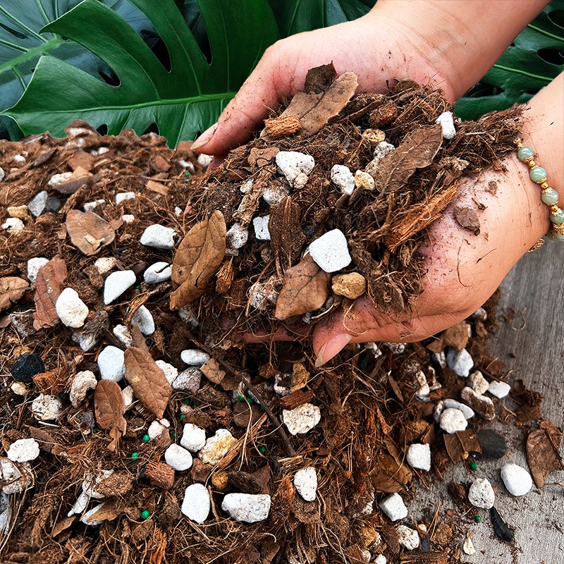 龟背竹专用土天南星科热植营养土花烛蔓绿绒海芋秋海棠春羽泥炭土
