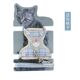 猫咪牵引绳背心式 胸背带外出猫咪专用防挣脱溜猫绳子栓宠物猫链子
