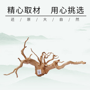 寄居蟹攀爬杜鹃根摆件一物一拍鱼缸天然造景森林木头小号枯木树桩