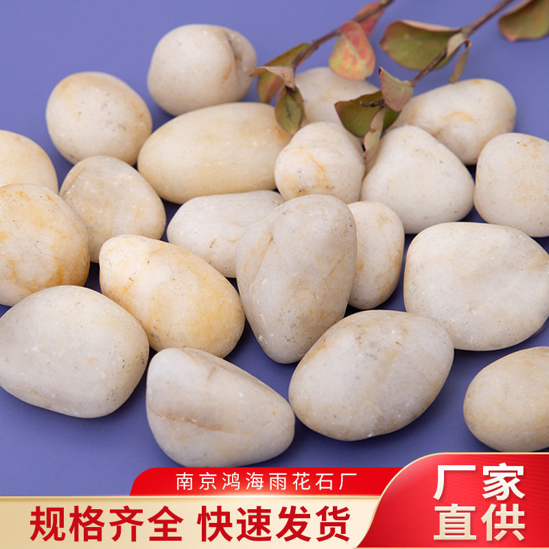 普抛白色鹅卵石雨花石普光普抛A级抛光园林景观工程铺路石