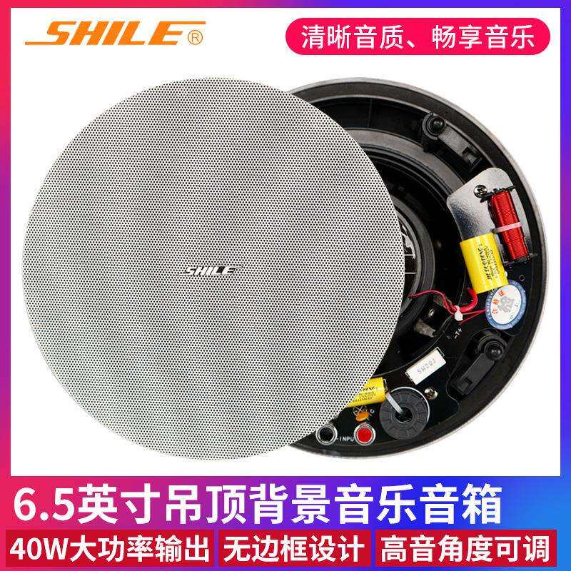 狮乐BX-306吸顶音响嵌入式房吊顶天花板喇叭背景音乐音箱40W