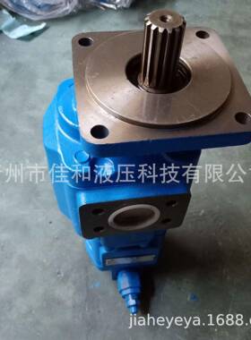 临工956装载机双联泵生产CBGJ2080/1010-XF左矩-佳和液压