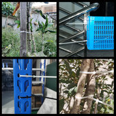 10系尼龙扎带一米超长加宽超大勒死狗可重复使用扎带捆玉米杆扎带