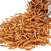 面包虫干芦丁鸡粮食刺猬黄粉龟粮用品仓鼠主粮零食物面包虫罐装