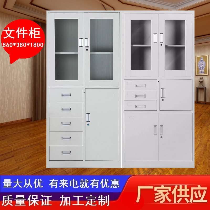财务凭证柜铁皮柜文件柜办公室资料柜档案收纳带锁玻璃门大储物柜