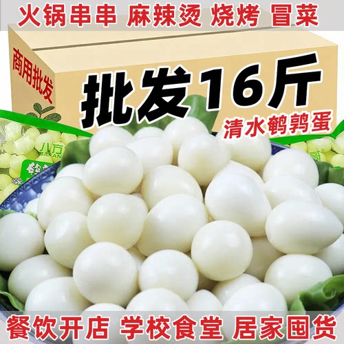 16斤清水去壳鹌鹑蛋商用脱壳鹌鹑蛋烧烤火锅串串麻辣烫食材批发16