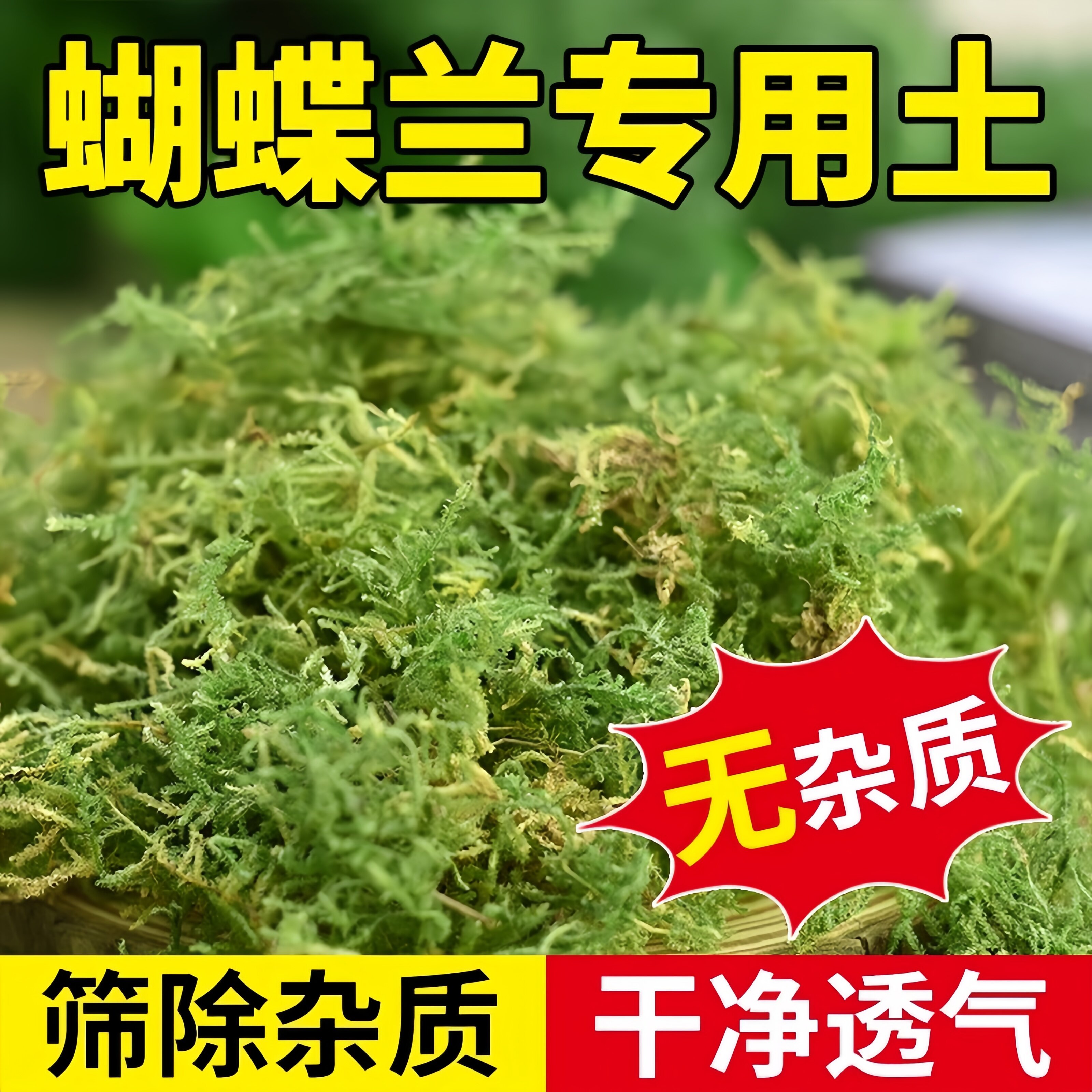 天然干 干苔 苔藓水苔蝴蝶兰专用草青苔兰花石斛种植营养土天然干