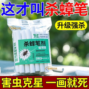 高效灭害 蟑螂药蟑笔剂粉笔家用蚂蚁全窝端无毒跳蚤杀虫杀虫剂