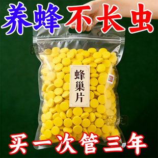 蜂巢片养蜂专用蜂蜡制成诱蜂筑巢中蜂意蜂通用蜂箱基片