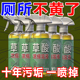 厕所尿垢洁厕灵清洁剂高浓缩强力草酸溶液瓷砖水锈家用地漏防臭器