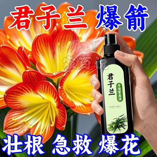 君子兰专用肥营养液促箭剂