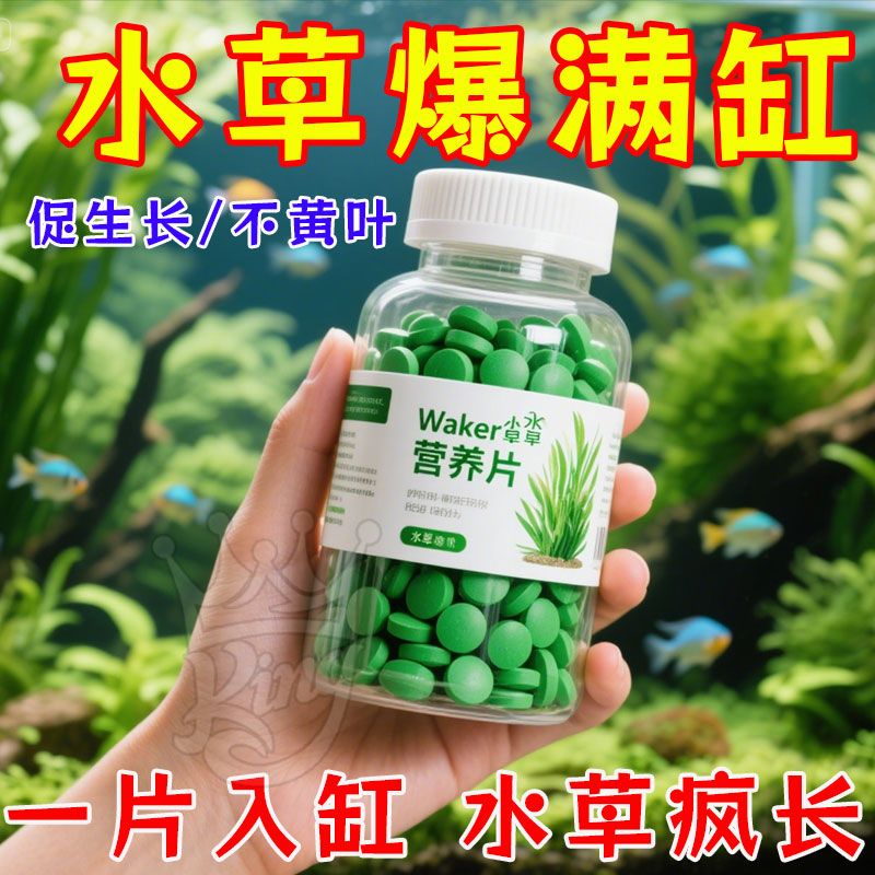 水草爆涨片正品鲜活不伤鱼肥料