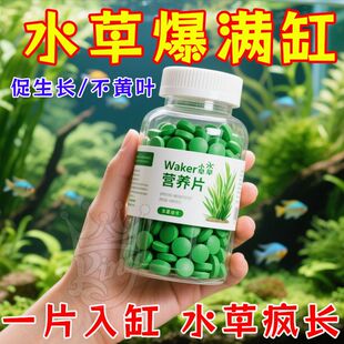 水草营养片肥鱼虾营养片生长肥料不伤鱼缸专用基肥片鲜活草爆满缸
