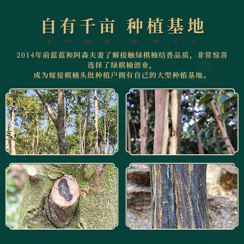 奇楠沉香方珠手串四方来财棋楠沉香手串随形手串佛珠念珠文玩