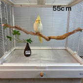 适配达洋鸟笼玄凤鹦鹉磨喙站杆磨爪棒小太阳站棍站台磨嘴解闷玩具