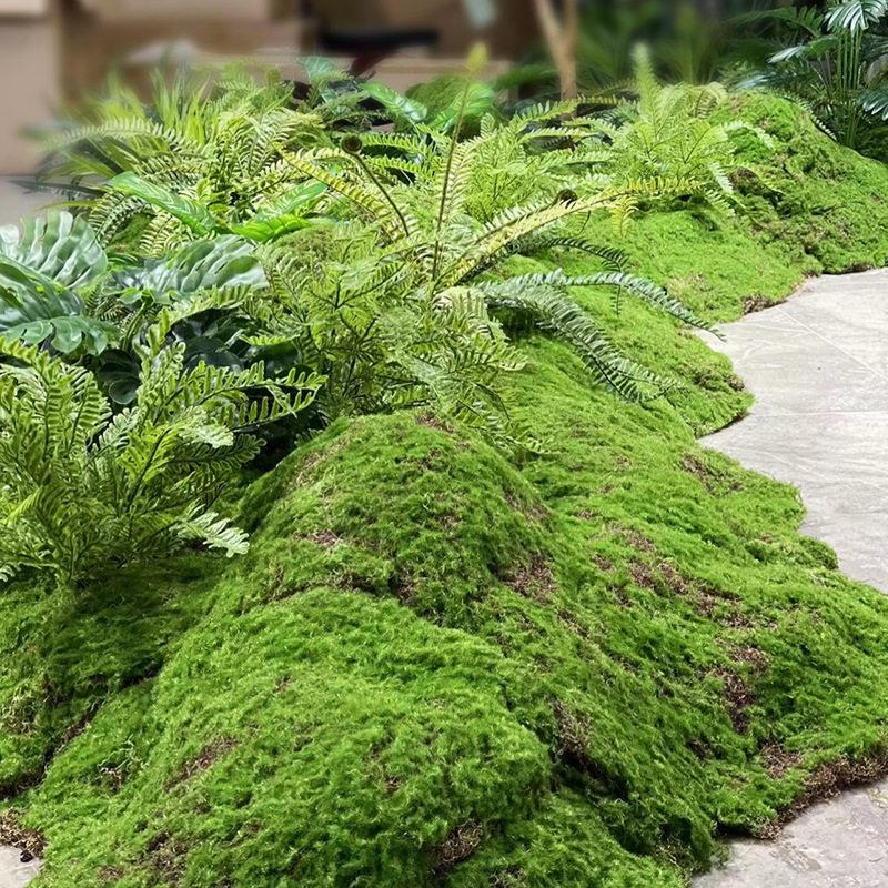 工厂苔藓布 人造苔藓草皮 仿真苔藓景观装饰植物墙造景苔藓图片