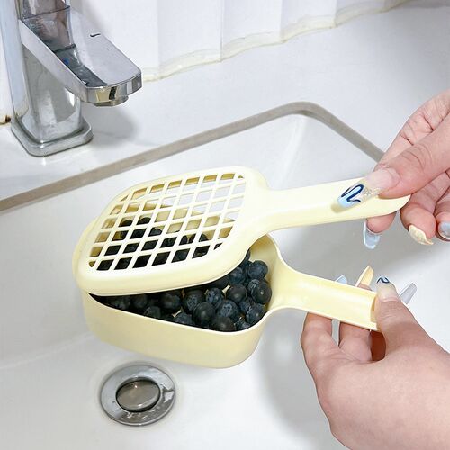 日式迷你清洗蓝莓神器家用厨房沥水控水篮带手柄水果篮漏水滤水筛