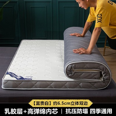 乳胶榻榻米床垫记忆棉家用软垫海绵炕褥子定制任意尺寸单人床垫