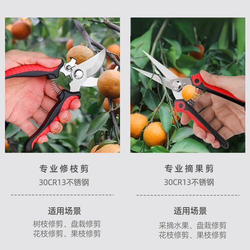 修剪树枝剪刀植物盆栽种花养花插花摘沃柑葡萄蔬果水果园艺粗枝剪