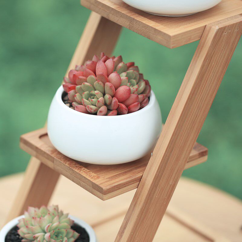 壹分皿多肉植物花盆白色陶瓷花盆白瓷花盆肉肉植物桌面花盆带竹架