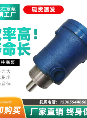 启东厂家2 5 5 10 25 63 80 160 250MCY14 1B轴向柱塞泵液压高压