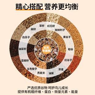 玄凤鹦鹉鸟粮饲料黄谷子加纳例子油葵专用粮鹦鹉小零食营养鸟食