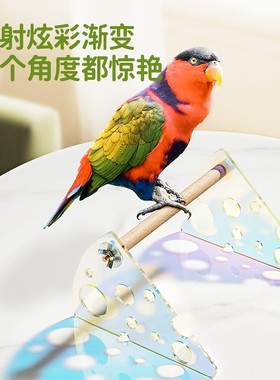 ZOOLIN炫彩亚克力站架文鸟牡丹玄凤鹦鹉鸟用站杆桌面鸟站架