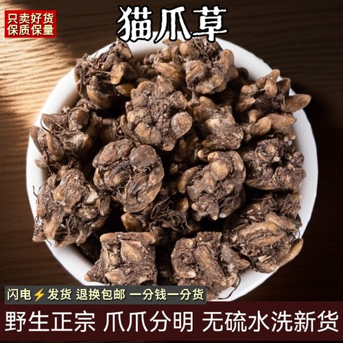 猫爪草中药材正品猫瓜草批发非野生猫爪草的功效与作用蒲公英