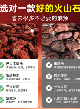 火山石鱼缸天然造景专用底砂古法养鱼水族免洗垫底滤材水草泥底沙