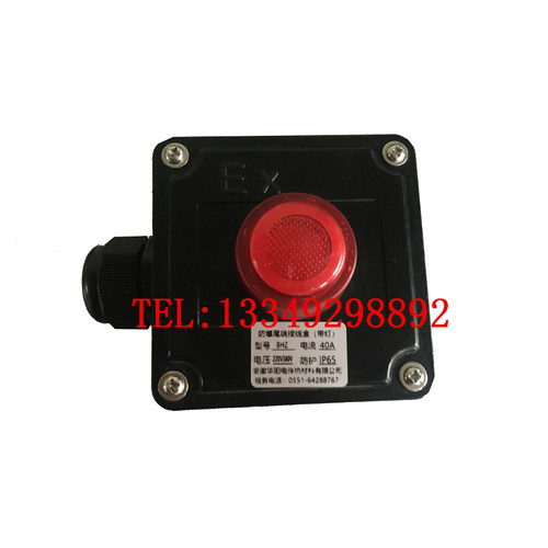 伴热带尾端接线盒指示灯终端盒伴热电缆带灯两回路带灯防爆尾端盒