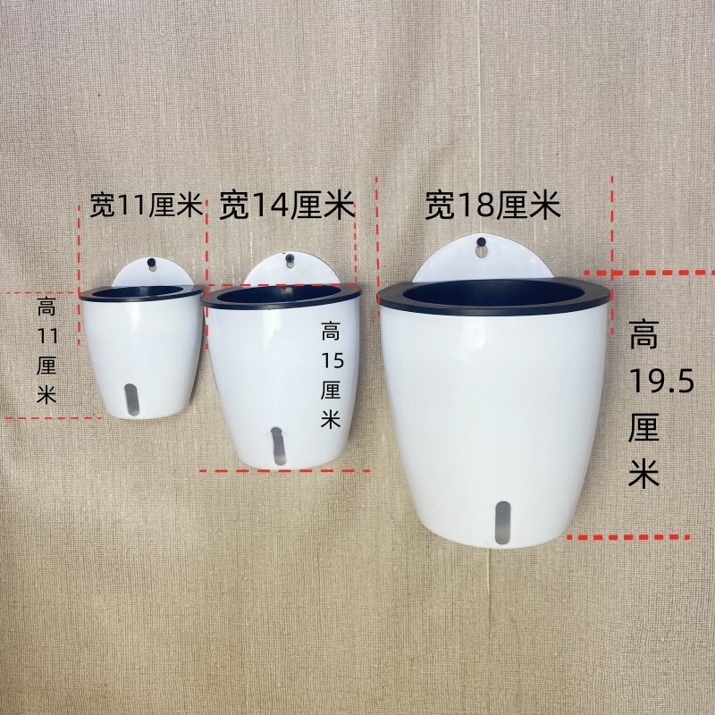 墙上水培绿植壁挂花盆塑料阳台吊篮挂壁式墙角落挂墙绿萝可视花盆图片