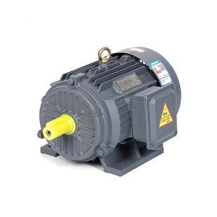 YE2-2级三相异步电动机0.75千瓦-315w矿山机械电机380V交流电机