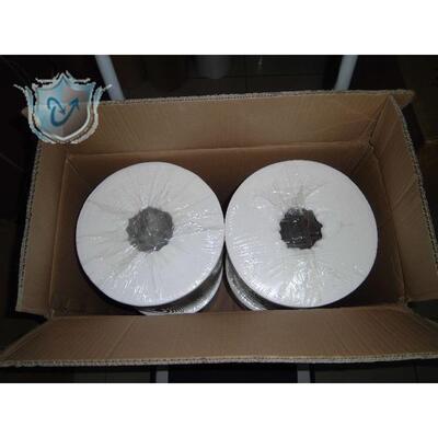 Western blot转膜用滤纸实验室用蛋白转印纸湿转半干转吸水滤纸