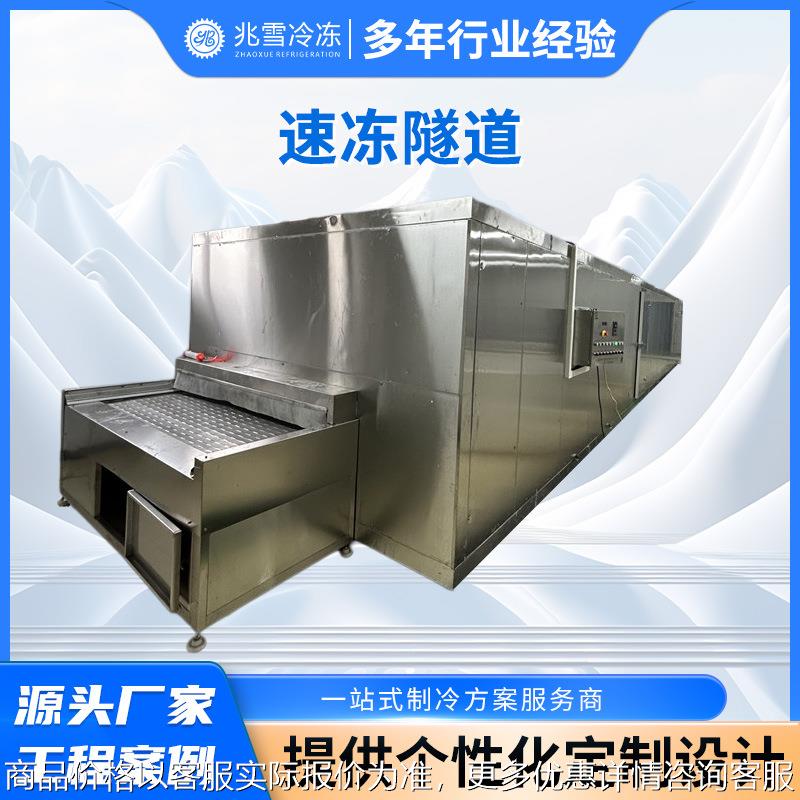 厂家供全自动速冻隧道速冻机海产品连续式速冻设备汤圆冷冻流水线