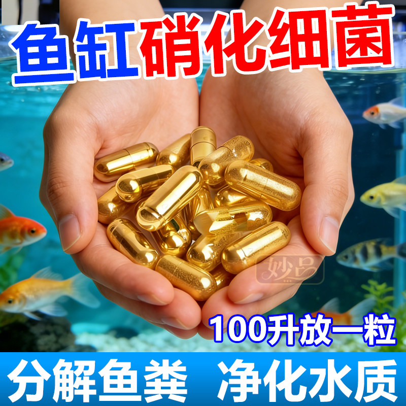 硝化细菌胶囊鱼缸专用胶囊净水活菌干粉消炎水质稳定净化水族鱼用,宠物/宠物食品及用品,硝化细菌,淘宝优惠券,粉丝福利购,淘宝优惠卷