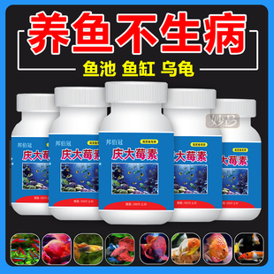 庆大霉素鱼用黄粉锦鲤金鱼炸鳞烂身烂尾烂鳍充血鱼缸水族鱼药
