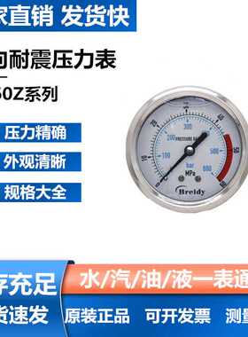 Breidy轴向边耐震压力表 YN60Z 液压油压表0-1.6 2.5 6 40MPA