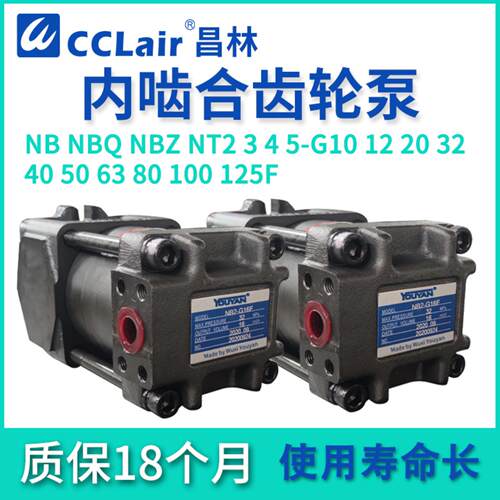 NT2齿轮泵NB2-G10F NB3-G16F C160F D250F G20F NB5-C32F140 G5