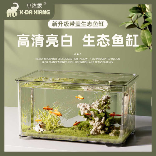 超白带盖鱼缸小型客厅乌龟缸卧室桌面螃蟹生态缸金鱼寄居蟹专用缸