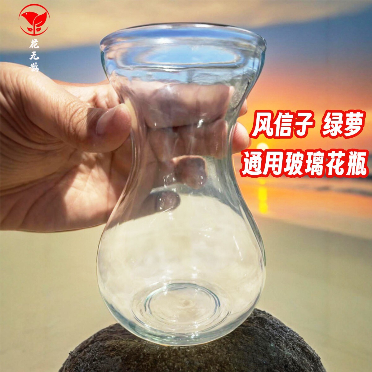 简约玻璃花瓶风信子透明花瓶办公室桌面水培绿萝器皿客厅装饰摆件