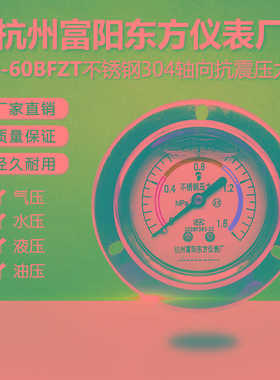 杭州富阳东方YN60BFZT轴向不锈钢耐震压力表YN60ZTBF高温蒸汽