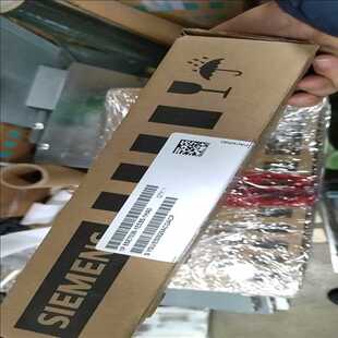 耶耶电子 1HA0 1EE85 6SE7036