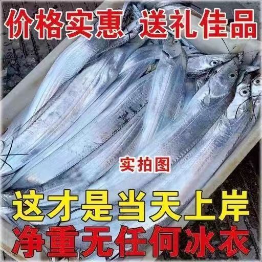 东海整条鲜活速冻带鱼野生无冰新鲜刀鱼冷冻正宗整箱海鲜