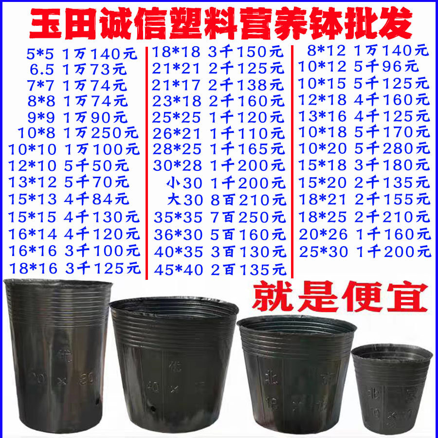 营养钵树苗种植营养袋育苗钵营养杯一次性黑色塑料软花盆简易