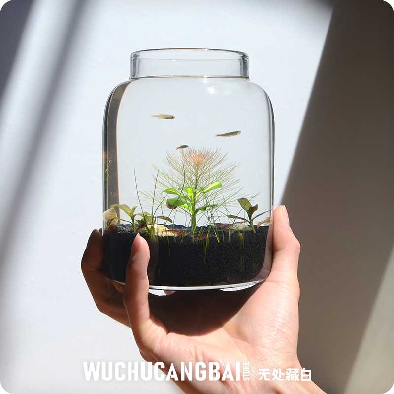 生态瓶水草小鱼缸玻璃办公桌面微景观生日情侣礼物DIY作业免
